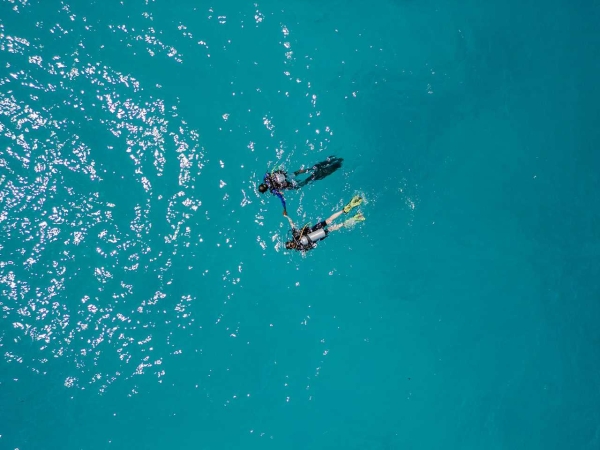 Scuba Diving